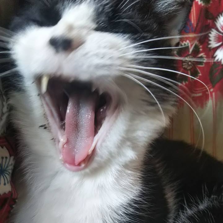 Dfd06f16 cf37 484a 969d 68a4dd156c4b 1616721507227