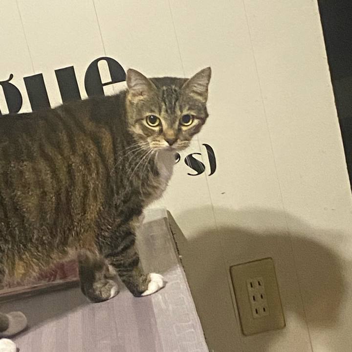 Dfd09356 f571 49f6 871c 30f9b9e5cbfa 1633871756316