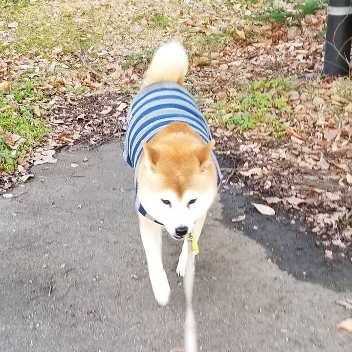 Dfd0a214 4645 426e a103 875cee0d34c6 1639207612350