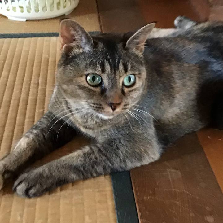 Dfd0f68b 9965 4587 9273 05c1436d436f 1753865883798