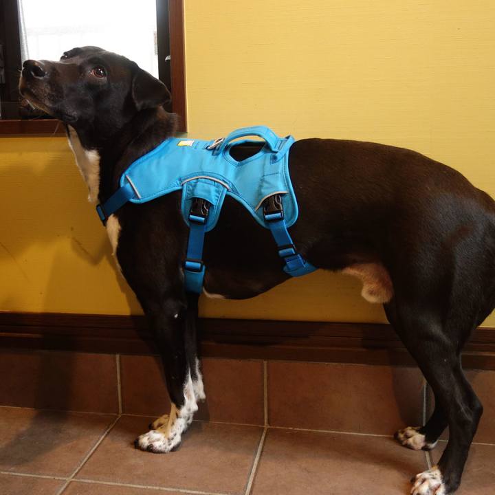 Dfd11db4 45ee 4f33 a128 cf354c77168a 1603500008294