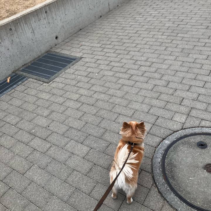 Dfd14345 3621 4b85 a6ec 5328b0e27dcd 1773398664605