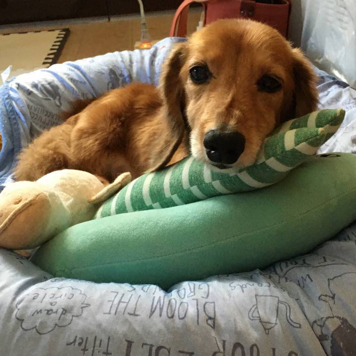 Dfd1499a 080d 4c1b a5c3 dea0de73d8e1 1626609738208