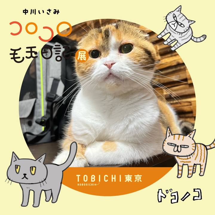 Dfd19dbc bbdd 4686 b6b8 587158ed26a7 1740222511760