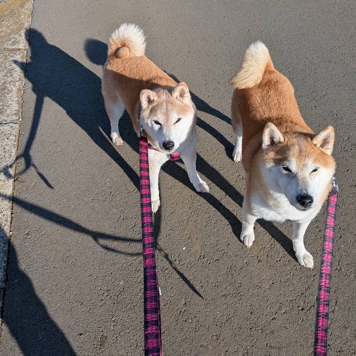 Dfd1c299 6d4e 4b6e bba3 c4e7c6379732 1763346001909