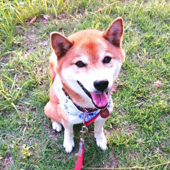 Dfd1cb6c ca99 4f16 a3b7 5863c6771f93 1659351410410