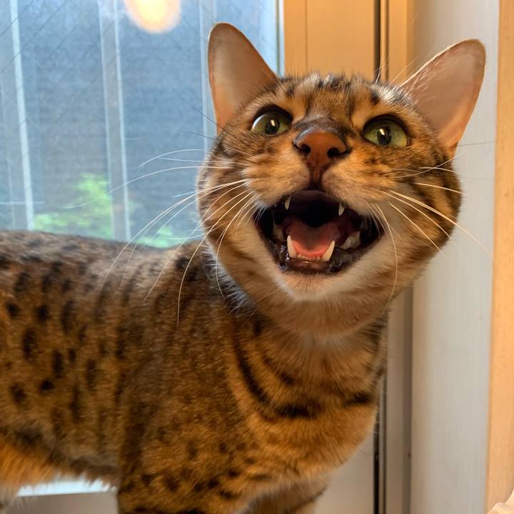 Dfd1f9d8 d405 41dc 8b4c 235a9283799b 1562462254618