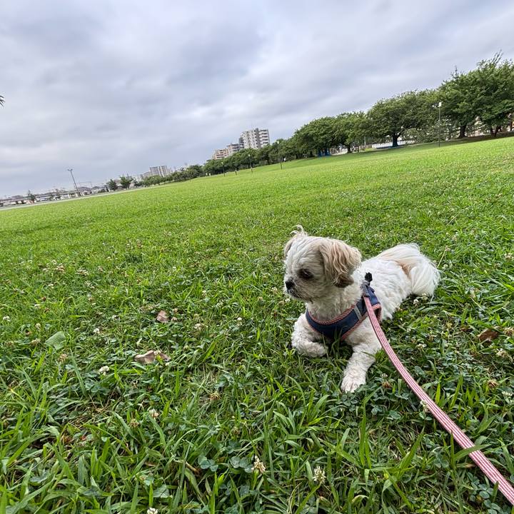 Dfd222a8 7b30 4260 b8ce 9a9ae1368d7b 1752788894839