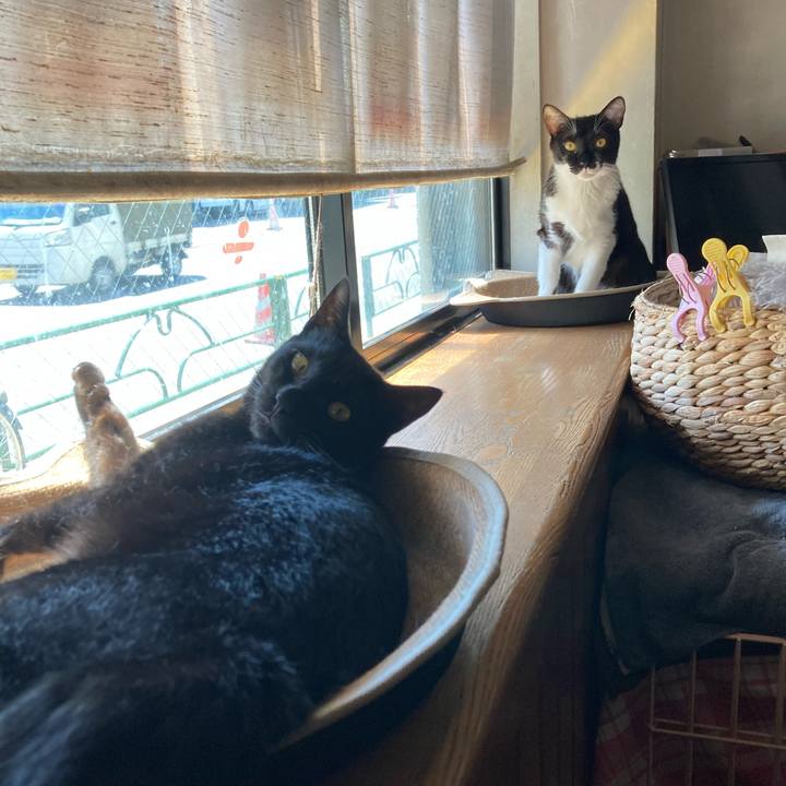 Dfd23666 f176 4d8e 8141 52f15a88916a 1691194504599