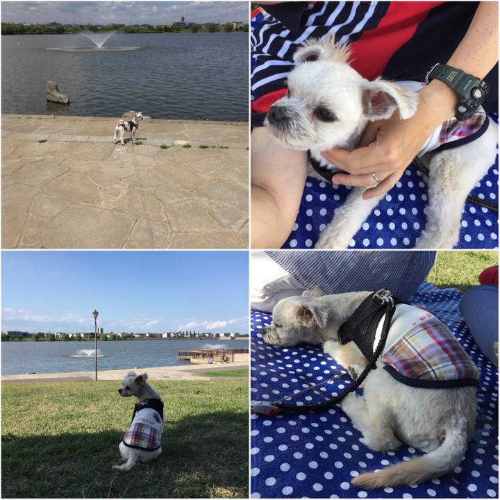 Dfd270b6 4725 4d58 9d2d 8ec106ce2e3f 1527847611610