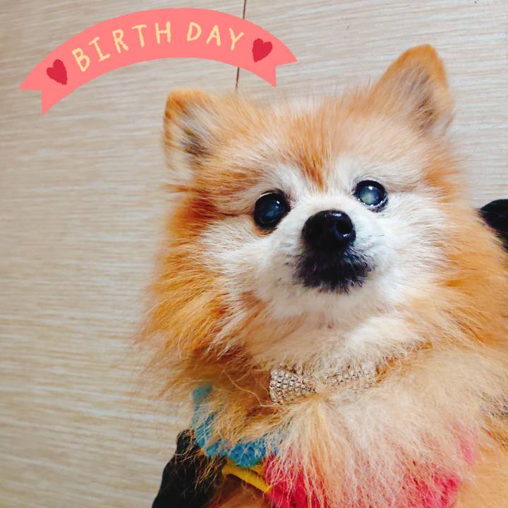 Dfd2808f 5c2b 46c3 a429 8479a5f1ff34 1668810899016