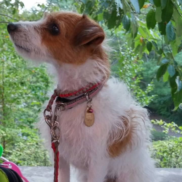 Dfd2a41d 20f4 43f5 be9c abba528c0af9 1537925302463