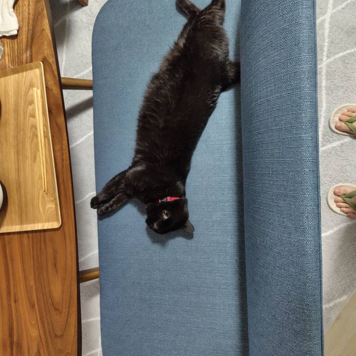 Dfd2bb38 08c8 4527 b4eb b38a014f8239 1720000487973