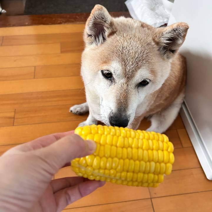 Dfd2c95b f4f8 4f47 9d8d c7734e39cd5b 1750318002223