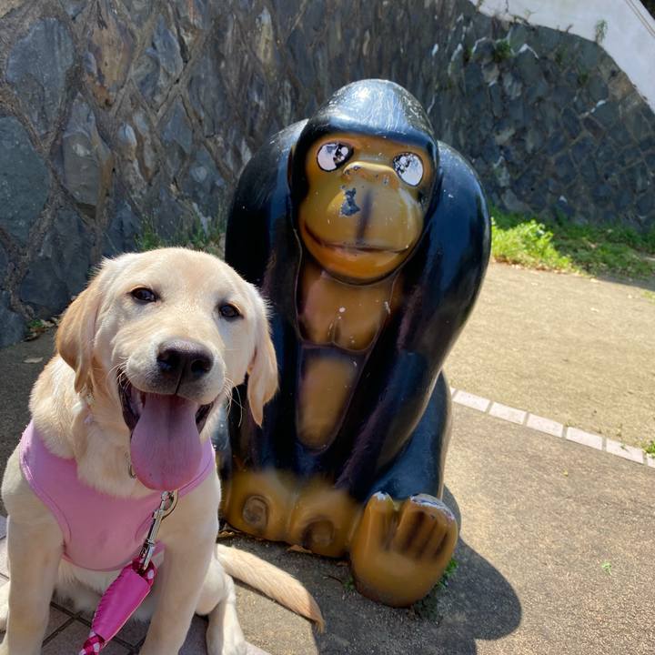 Dfd2d923 cb86 4ef8 8947 0a81e142cba1 1617769613850