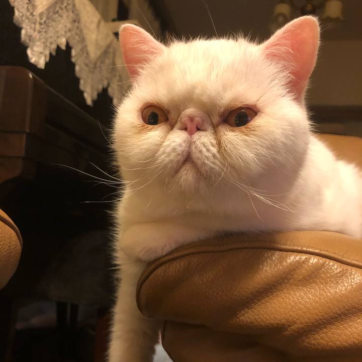 Dfd2ff5e 38d4 4ee2 8baa 89c810c71faa 1625577416541