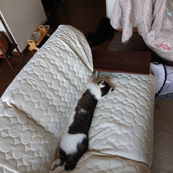 Dfd3269f 1504 459d aed8 a6ae9e3479e1 1598757744265