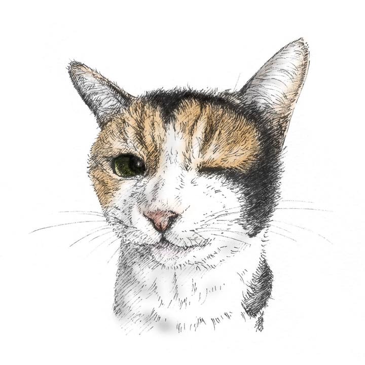 Dfd338a7 0078 45fa 91ce ff9ba70fc95c 1566569817409