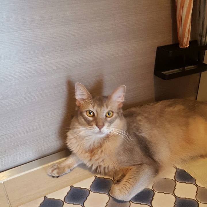 Dfd34cc7 a57f 4c08 8f55 7afce204c88f 1526511574596