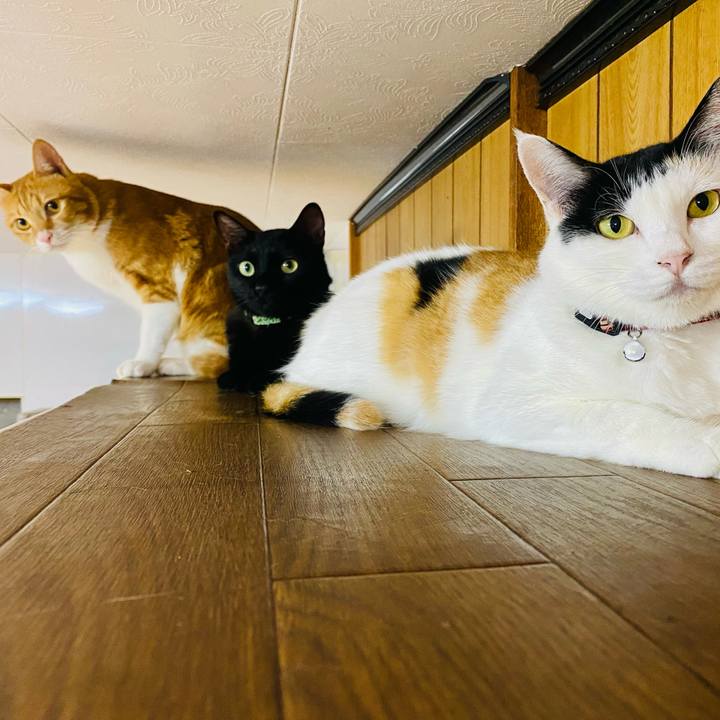 Dfd34fe5 bd5b 466f 97fe 5faf23727e78 1661952418331