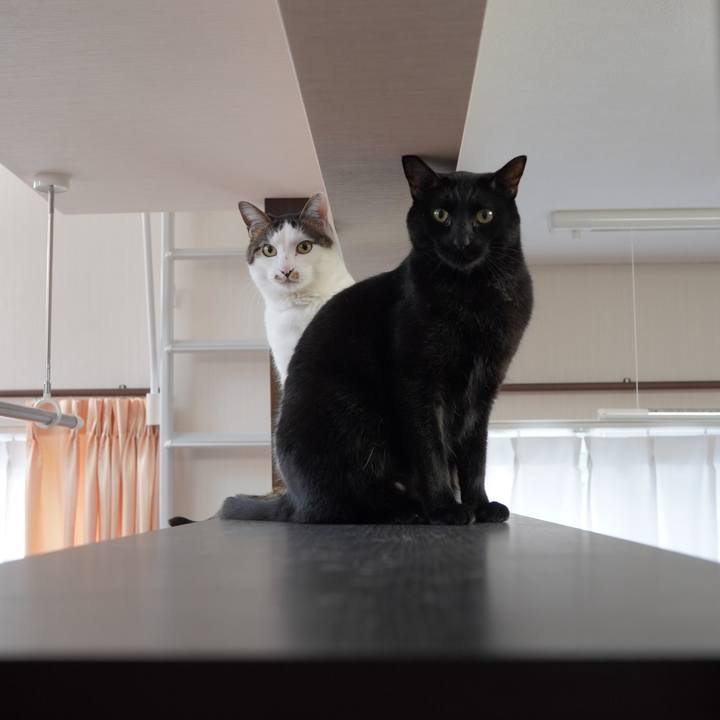 Dfd36dcd c483 4afb b2f7 7e52f4edd6d6 1586693664623