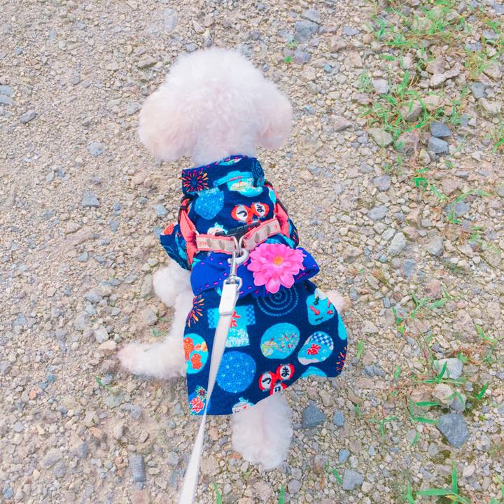 Dfd36e42 62ac 402c 9107 a7e8145dfb1e 1533022958806