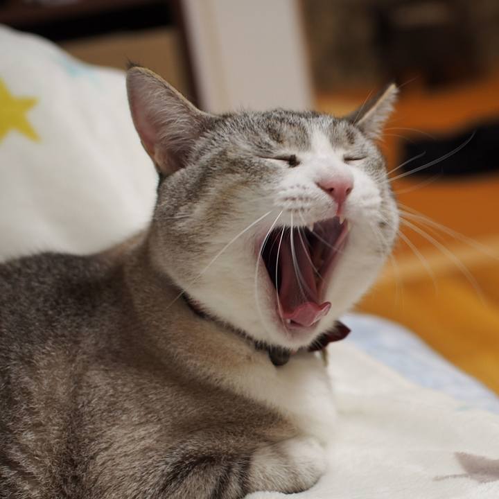 Dfd36e8e ccfb 41e0 8cdd 017cd0aa04d1 1562250498826