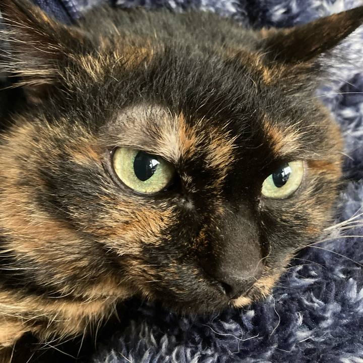 Dfd39fa5 9411 49bd 8113 8e7bfb66b468 1678000293673