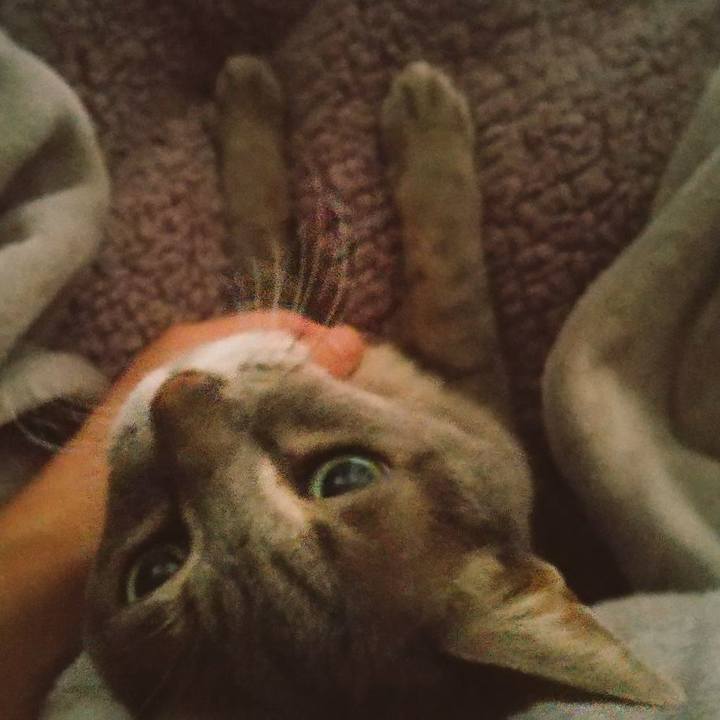 Dfd3afbb 1a45 47ab aaa9 ad2ee5b9ac52 1695680616164