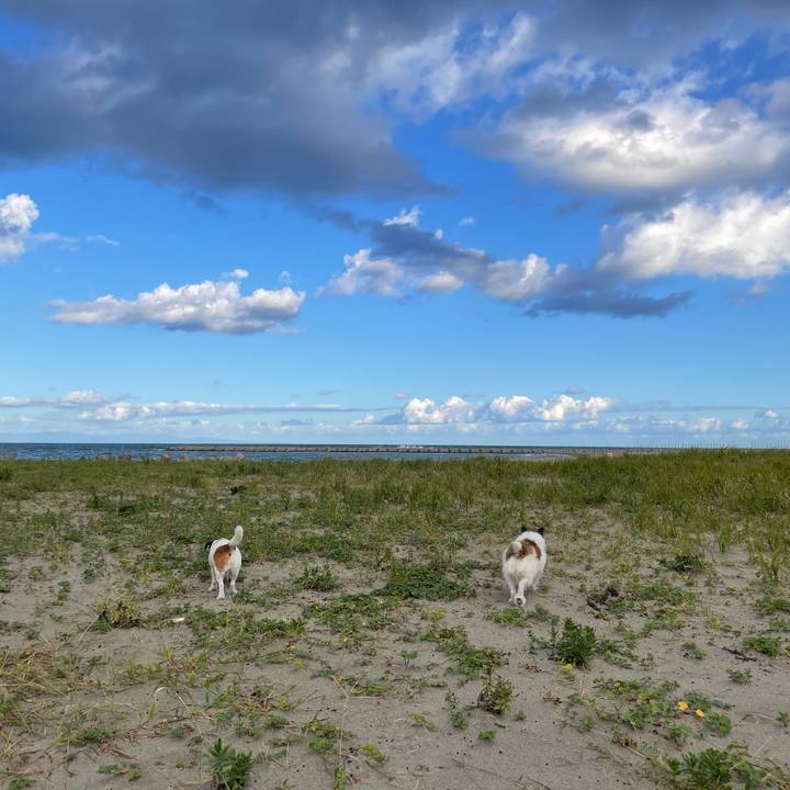 Dfd3bbbe 7ec2 498b bcf0 0d81f9c80443 1758930892400