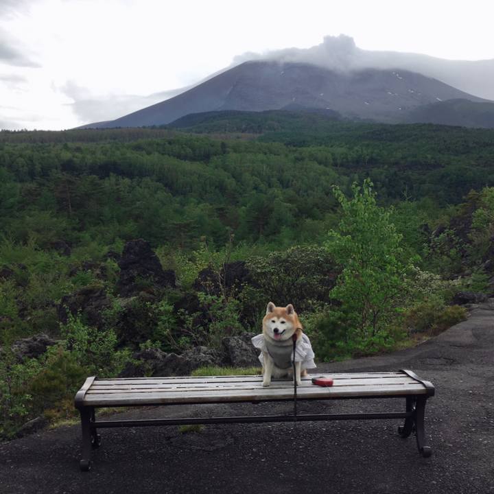 Dfd3bddb 0232 47aa b464 1c0b96633040 1559045901109