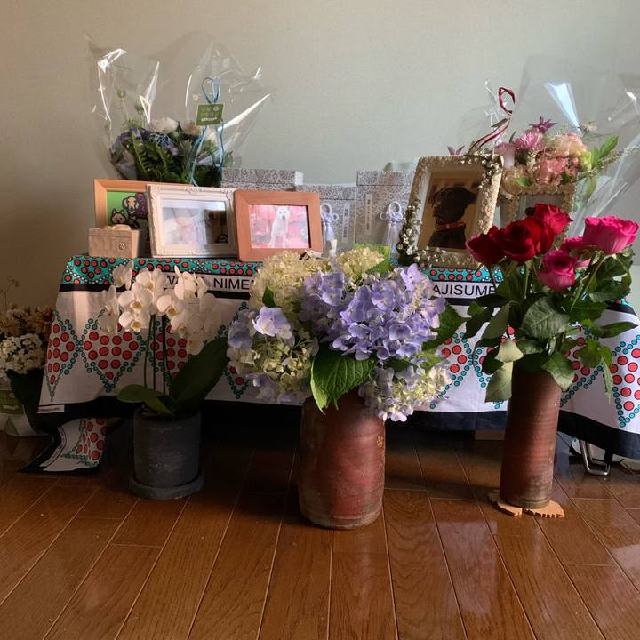 Dfd3e1a0 0017 4ebd a586 b5303d7db73e 1654980538203