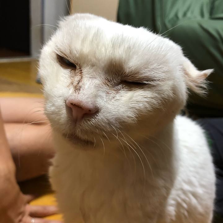 Dfd41c98 d4c6 4507 bd59 5438aba7faea 1539368036531