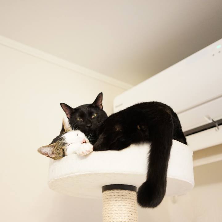 Dfd46a17 aeb4 4eac ba99 8555cb5322c0 1511272567212