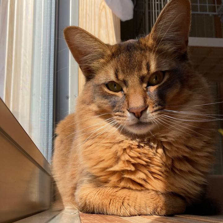 Dfd4940e e7ce 47ef 9495 083247d2ae93 1618446369083