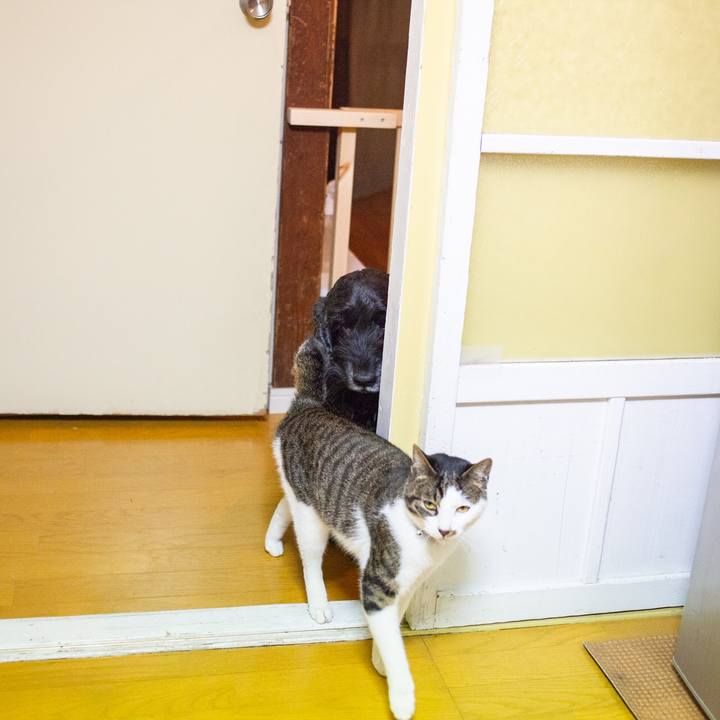 Dfd4b785 14b9 409e 82b3 612cd57084f0 1557158480089