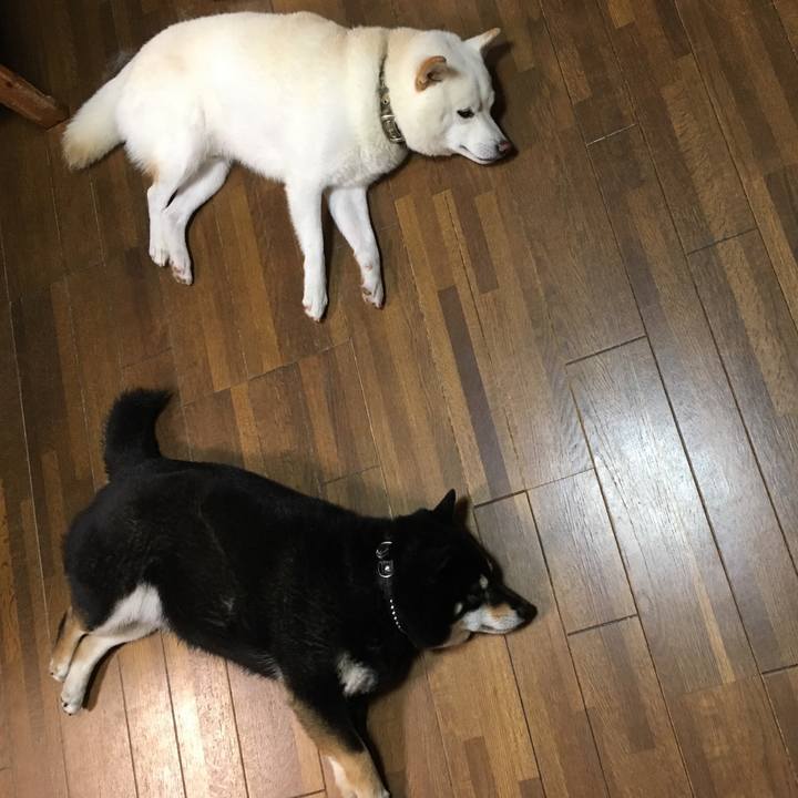 Dfd4e00c def0 41bf 8d5e e60d0a1994b8 1537789884704