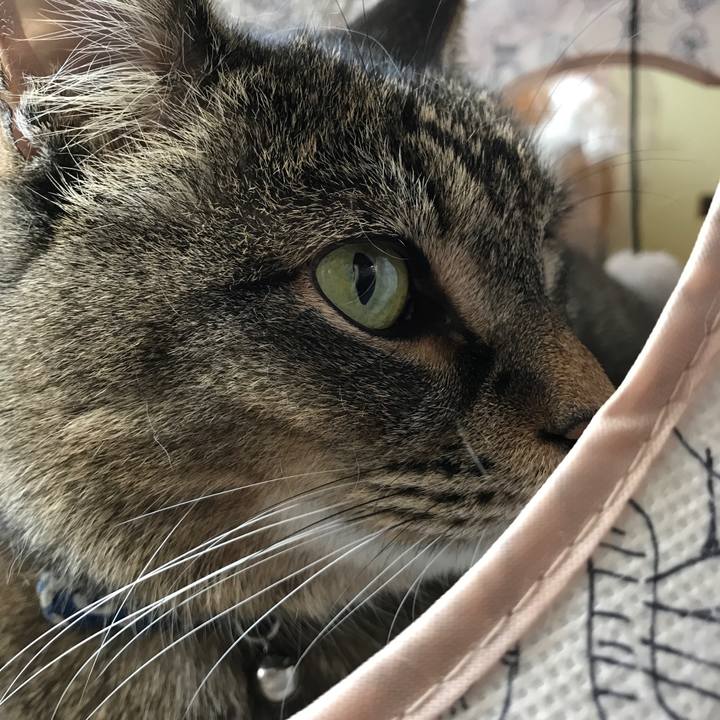 Dfd527fc f25b 426d b65c f373370434f5 1561352276364