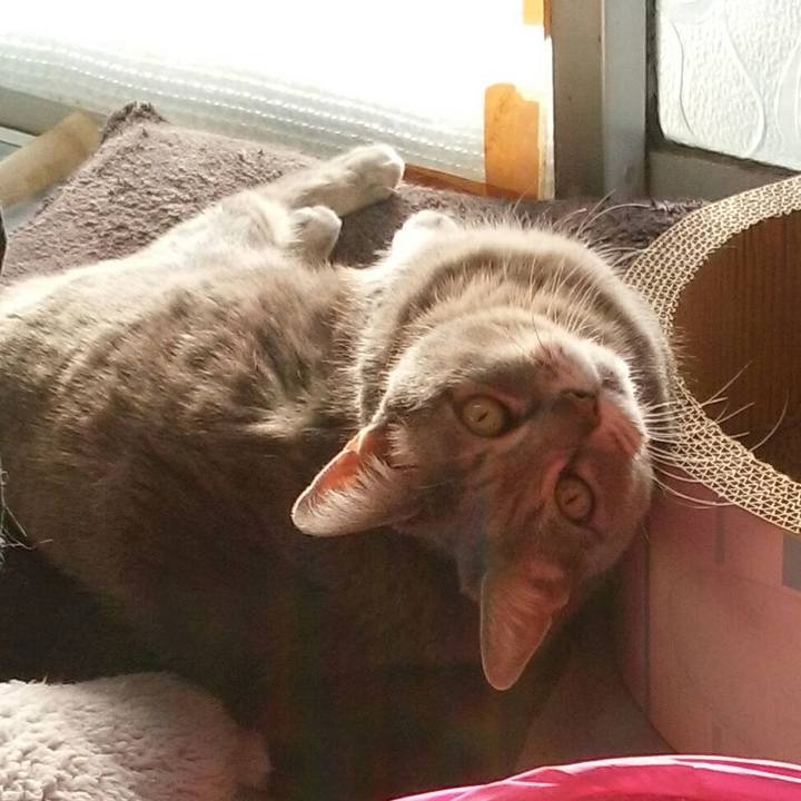 Dfd52c60 b9af 4c3a a43f ffbd559d9023 1582757248644