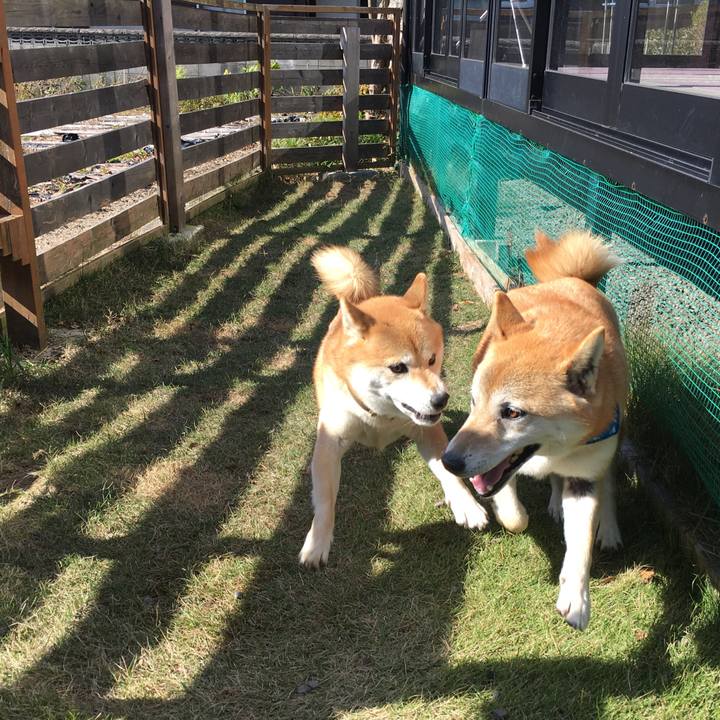 Dfd52fb0 3495 46eb 803f fc8e424cab43 1573993573312