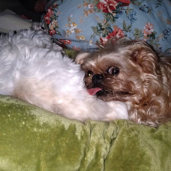 Dfd541bb f644 4f5d b0f0 77507bb5d6bf 1611540130732