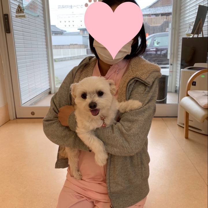 Dfd57b00 3038 43df b38d 32a2124b792d 1634797811836