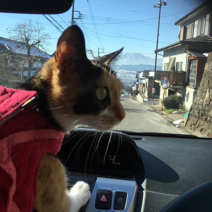 Dfd58210 6bf1 4d61 9248 3142236ad31e 1513921981146