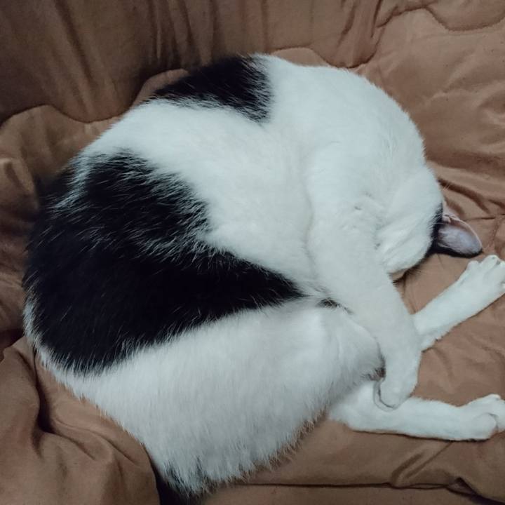 Dfd5929e 85f7 4a07 a281 f0d378b1cfb3 1523018173701