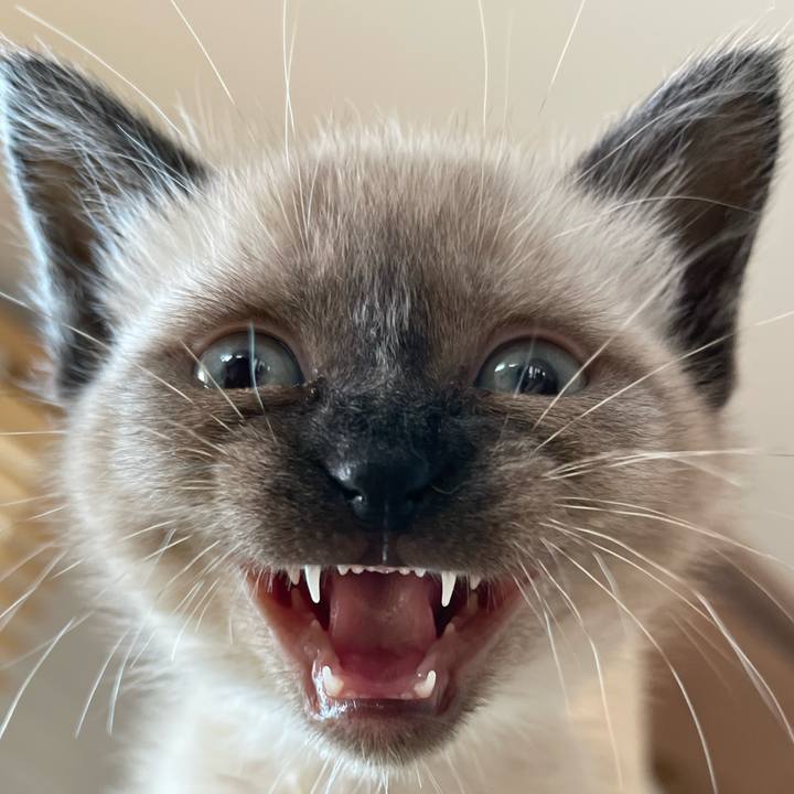 Dfd5c9c6 d92c 45e4 8d7e eb6230dbecf3 1686369808393