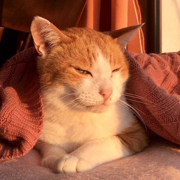 Dfd5dfb5 7db1 4631 8107 6bb6e843485b 1574754676916