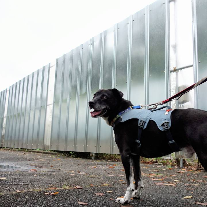 Dfd61347 a4b8 4480 9e47 d10eb080d572 1727480479875