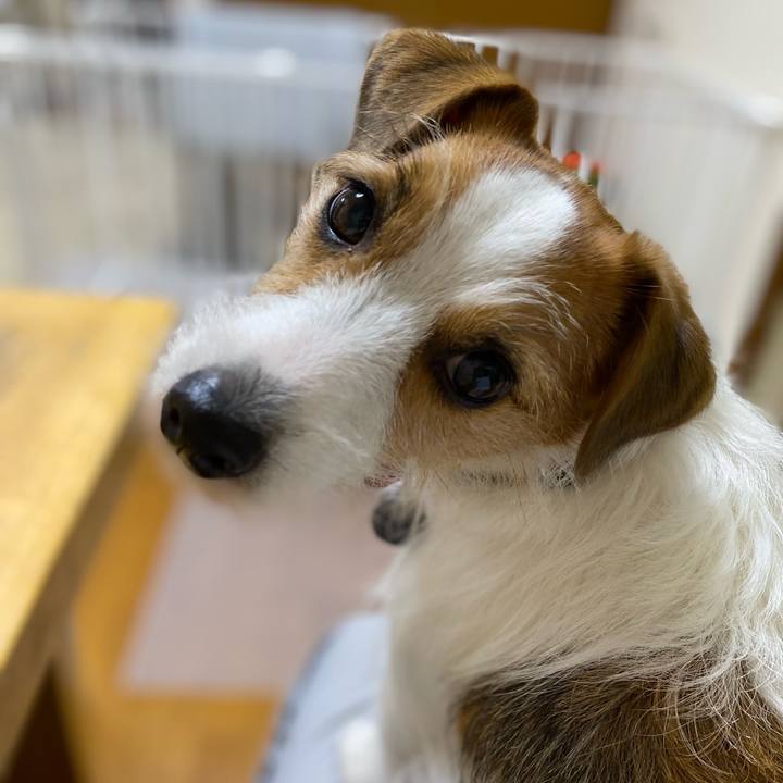 Dfd613a6 c9b9 44d9 8e2e 8f21df16c3da 1695385206281