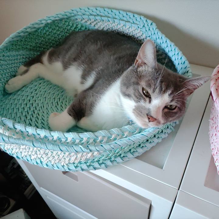 Dfd61503 2957 4b7a 89ec 409d3013e69e 1661293692660