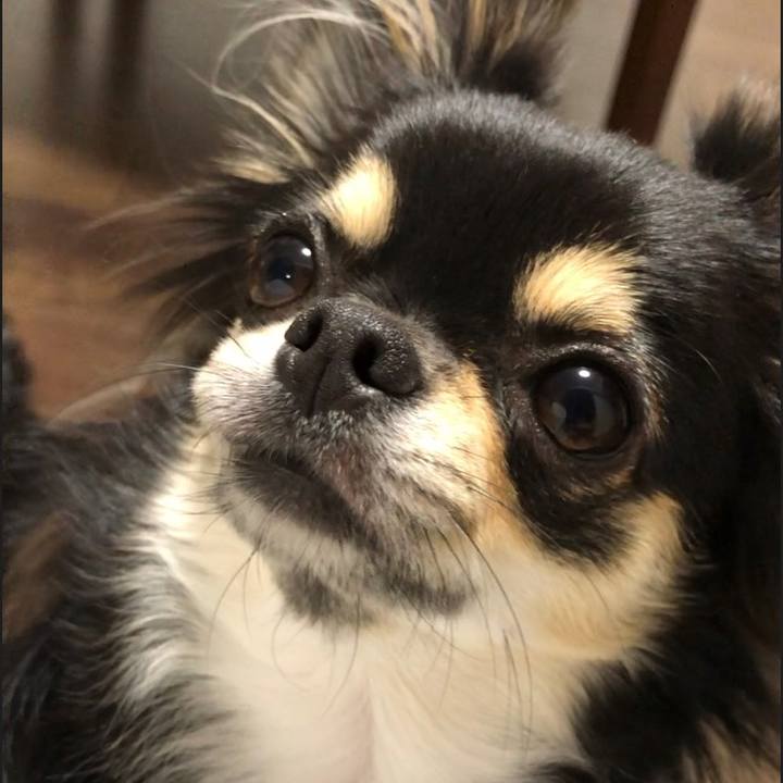 Dfd643b9 9a26 4a4b 877d 83bb26374b36 1565790028851